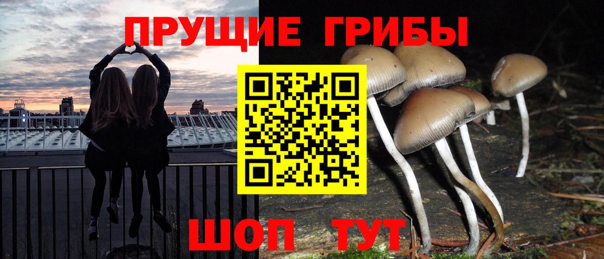 Псилоцибиновые грибы Cubensis Изобильный
